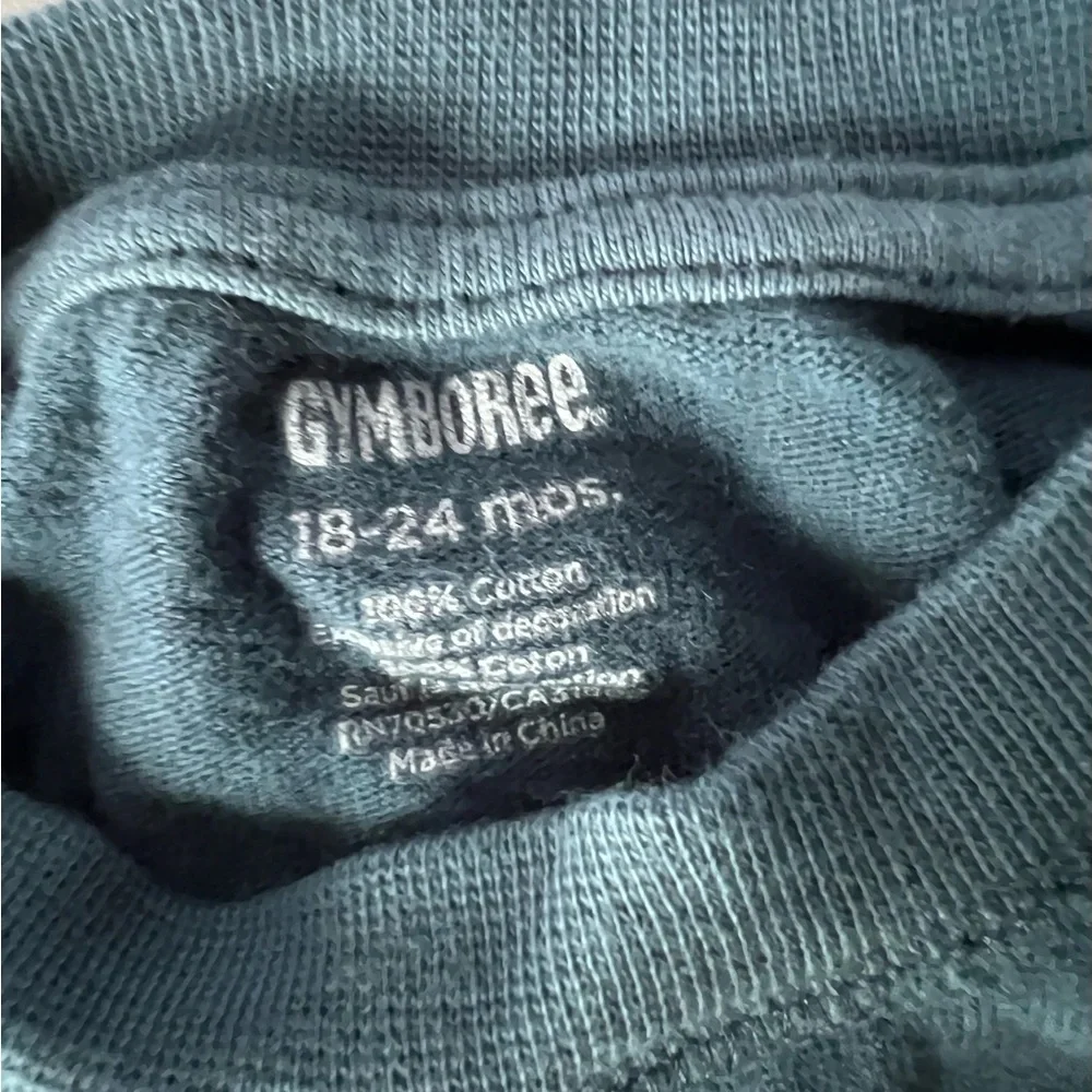 Baby Gap & Gymboree Boys long sleeve cotton tee’s